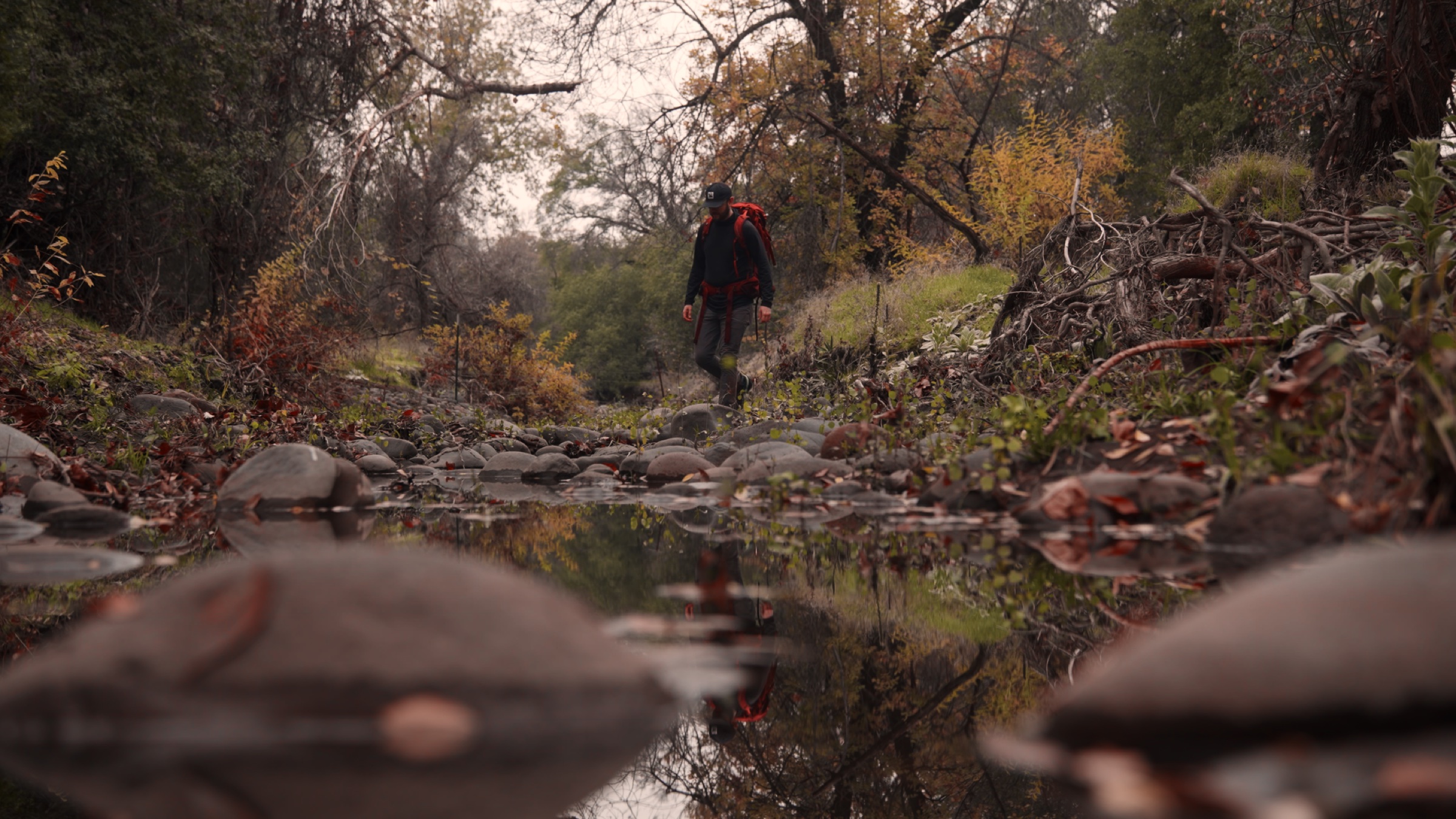 Wildfire still 3