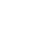 The Circuit