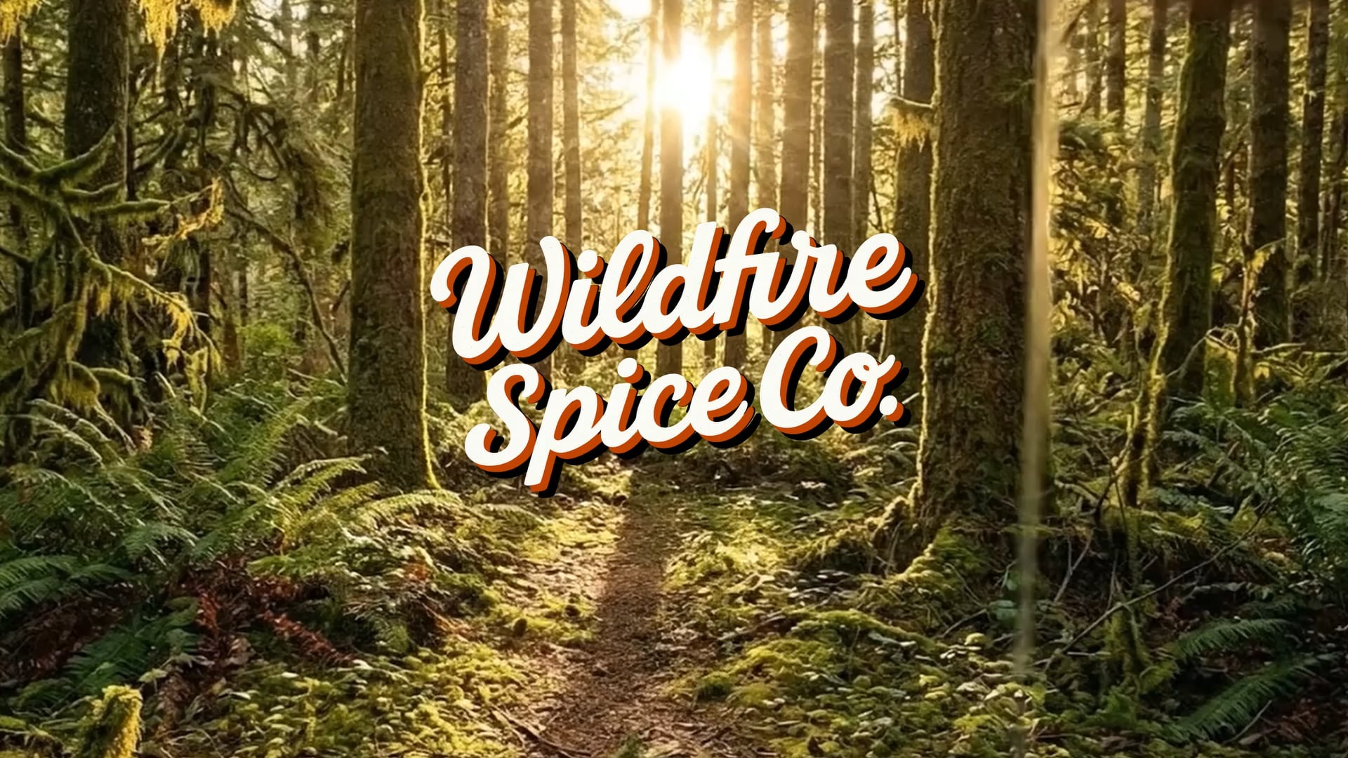 The WildFire Spice Co. title over a sunlit forest path.