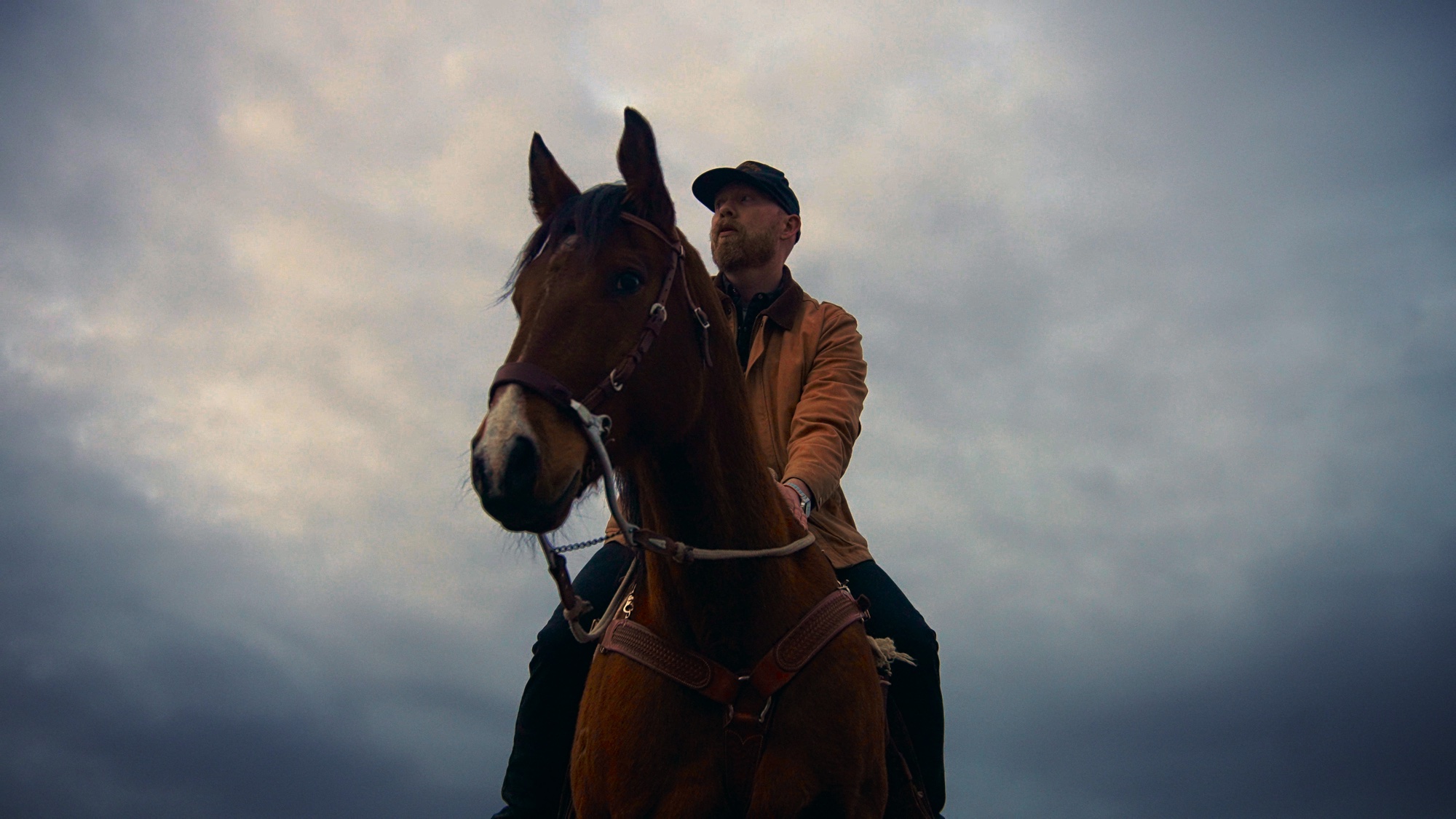 Horse, color graded