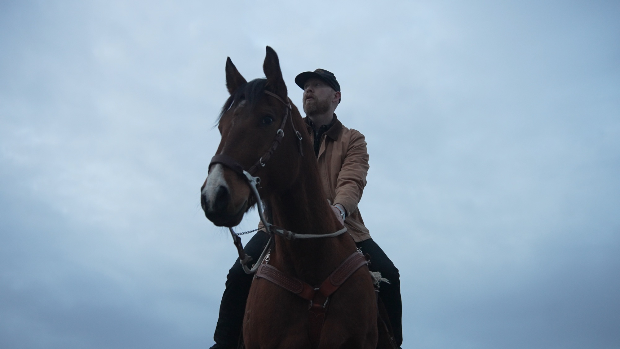 Horse, LOG